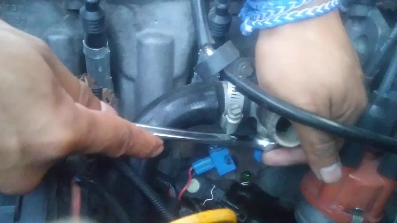 Watch cambio de manguera externa radiador y bulbo de temperatur(azul) pointer Now cambio de manguera externa radiador y bulbo de temperatur(azul) pointer