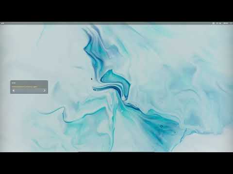 Sardi and Surfn visiting Solus Budgie 4.2