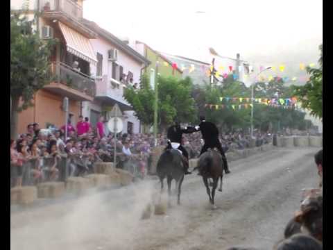 pariglie  silanus 11.08 .2014