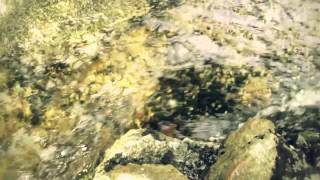 Okkervil River - &quot;Your Past Life As A Blast&quot; (Official Video Directed by Isaac Ravishankara)