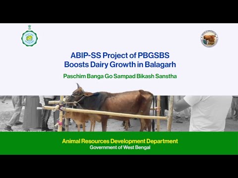 ABIP-SS Project of PBGSBS Boosts Dairy Growth in BalagarhPaschim Banga Go Sampad Bikash Sanstha