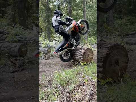 @kmirabet38  strikes again! This time on our Honda Transalp 750!