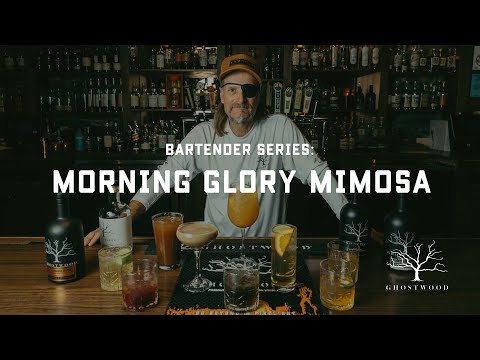 Morning Glory Mimosa