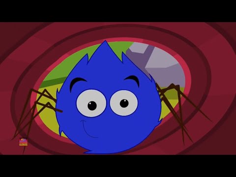 Itze Bitze Spinne - Kinderlieder zum Mitsingen | Klassische Kinderlieder | Deutsche Kinderlieder