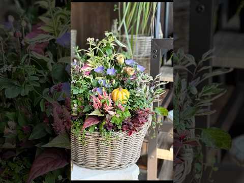 コーヒーかすに耐えられない植物はどれですか?またその理由は何ですか?  庭園