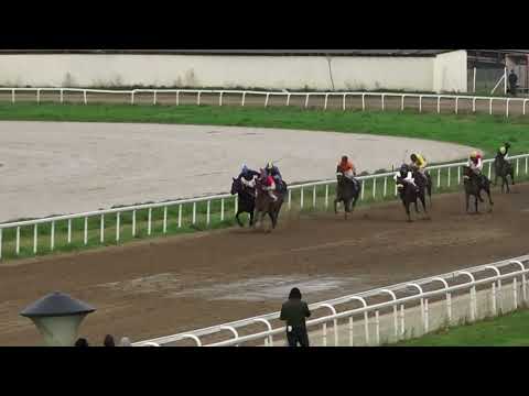 10.4.2022 - VI Trka - BAHAMIAN MELODY - Hipodrom Beograd