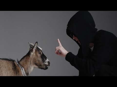 Młody West - 100 Tysięcy (prod. tyla) (Official Music Video)