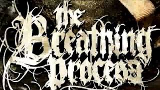The Breathing Process - Metamorphosis (NEW SONG)