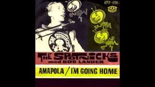 The Spotnicks - I'm Going Home (Gene Vincent Cover)