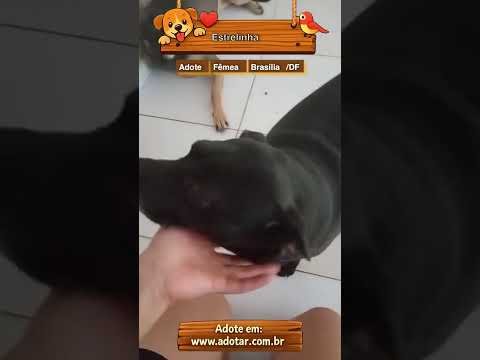 Vídeo de Estrelinha