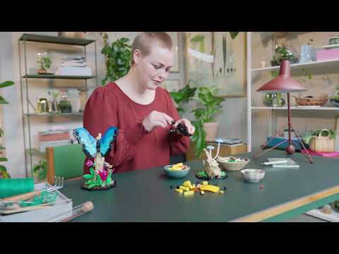 Vidéo LEGO Ideas 21342 : La collection d’insectes