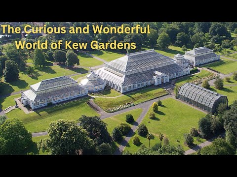 Top 5 Kew Gardens Attractions - Don't  Miss Them!