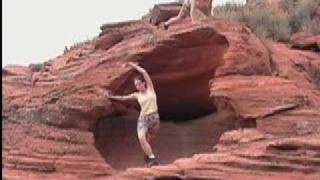 Petrified Heart (excerpt from Surface Tension), 2002