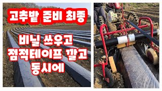 고추괴산청결고추 고추밭 로타리 작업 후 두둑만들기 괴산유튜브 풀뿌리농장 [고추재배방법]