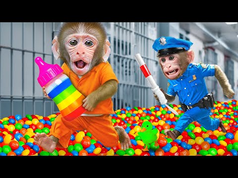 Macaco JOJI explora o supermercado com patinhos e escapa da prisão mágica | JOJI Em Português