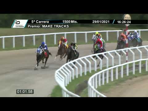 210129 c05 - LUFE WILD - HIPODROMO LAS PIEDRAS