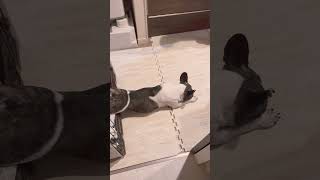 どんな態勢で寝てるのよ笑#shorts　　　　　　　　　　　　　　　　　　　　　　"What kind of position are you sleeping in?"