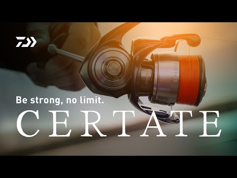 FC LT 2000S-P 170 грамм