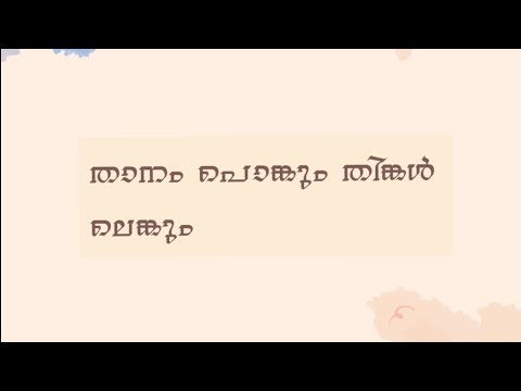 Thaanam Ponkum Thinkal|faithful lyrics|mappilappatu#nabidinapattukal#nabidinaganangal#mappilappattu