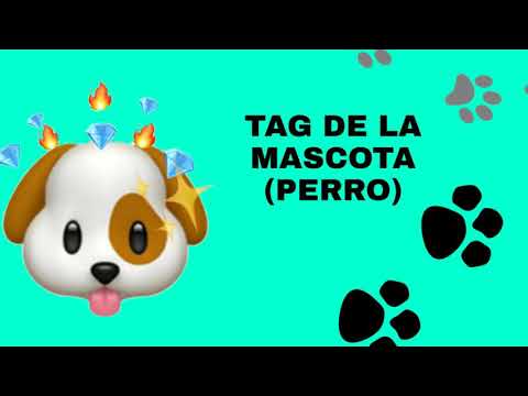 Tag de la mascota (perro)