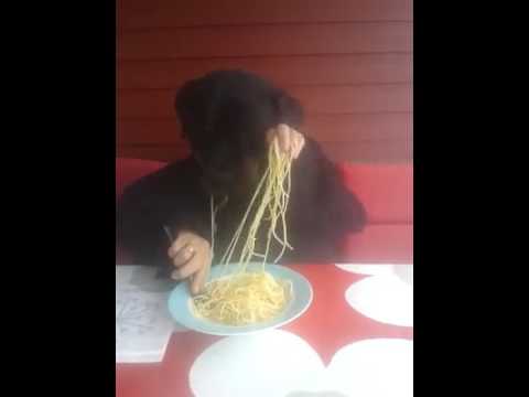 Cachorro comendo miojo