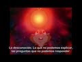 Crítico De La Nostalgia Editorial Qué Significa El Secreto De Nimh