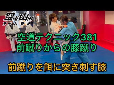 【武道】空道テクニック381「前蹴りからの膝蹴り」【格闘技】