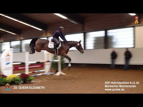 KN 25 QUEEN ELIZABETH v. Quiwitino - Balou du Rouet  *Marbacher Wochenende 2020*