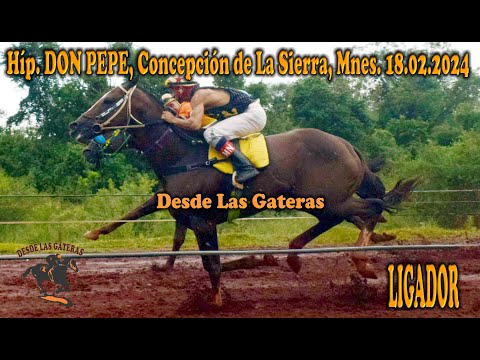 LIGADOR - HIPICO DON PEPE, CONCEPCION DE LA SIERRA, MISIONES 18.02.2024