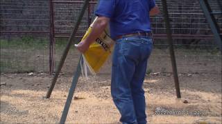 Hogdini The Escape Artist