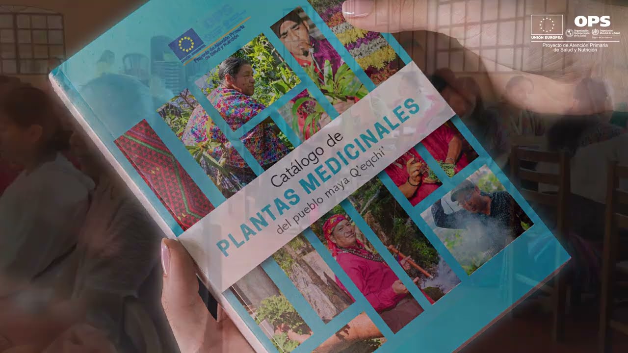 Catálogo de plantas medicinales q’eqchi’: un encuentro entre saber ancestral y salud pública