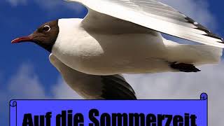 Kommt ein Vogel geflogen