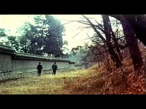 afbeelding Lady Whirlwind - 1972 [ Mrthemhs1 - Thedemhs ]