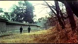 Lady Whirlwind - 1972 [ Mrthemhs1 - Thedemhs ]
