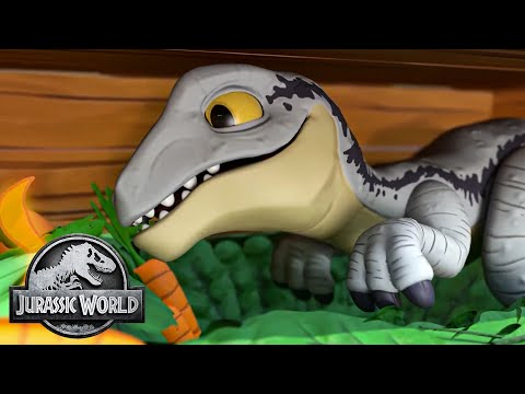 Can You Find the Velociraptors? | Jurassic World | Kids Adventure Show | Dinosaur Cartoons