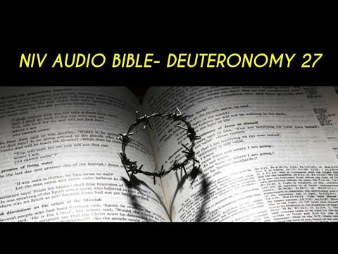 DEUTERONOMY 27 NIV AUDIO BIBLE (with text)