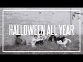 THE ORWELLS | Halloween All Year (en español ...