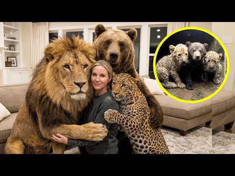 This Family Rescued 3 Crying Cubs... 7 Years Later They Hugged Her Back ❤️