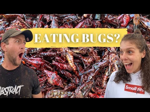 BEST Mexican street food of Oaxaca (WHAT A DAY)