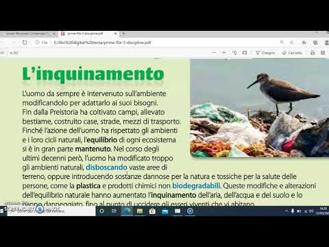 Il mare e l'inquinamento