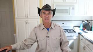 How long does it take to get rid of ants with TERRO Liquid Ant Baits
