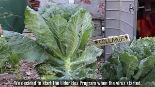 Macia Denson and the Elder Food Box Program