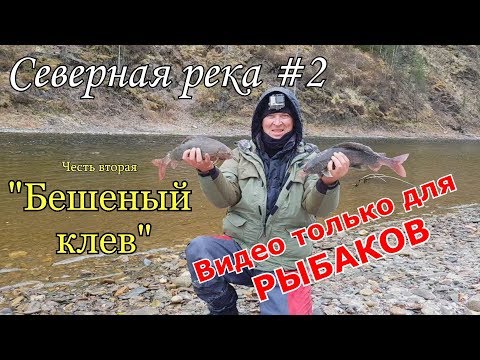 Фото Бешеный клев крупного хариуса/Завистливым не смотреть/Труднодоступная северная река #2