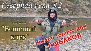 Ссылка