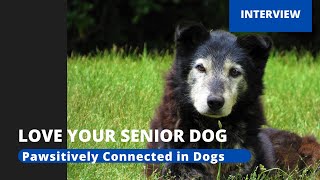 Caring For Our Senior Dogs
