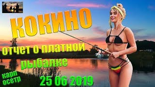Платные рыбалки в подмосковье с ночевкой