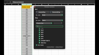 Download the video "Filtering Data in Excel"