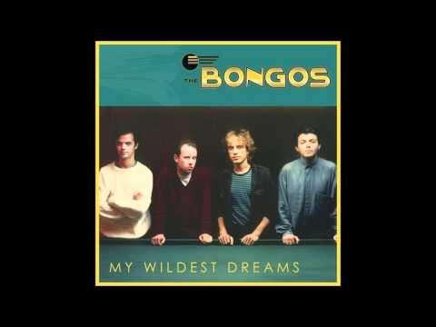 The Bongos - My Wildest Dreams