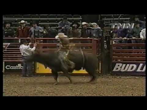 Border Patrol bucks J.W. Hart - 00 PBR Salt Lake City