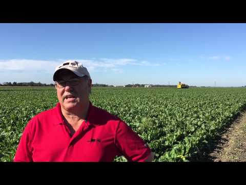 Michigan Sugar Big Beet Cart Field Day: 2015 harvest outlook